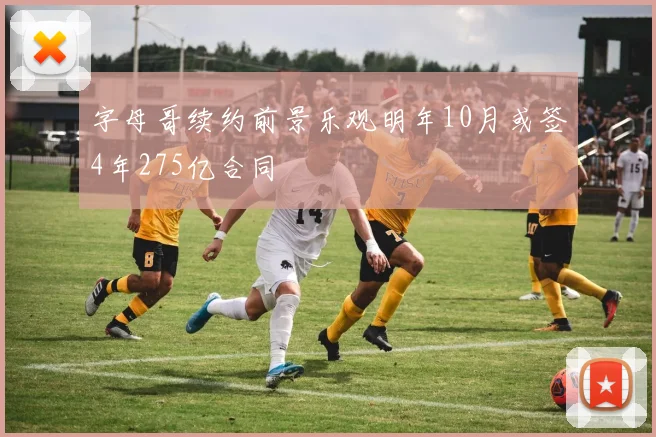 字母哥续约前景乐观明年10月或签4年275亿合同