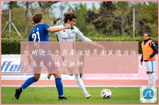 伦纳德三个月最佳球员谢泼德为何对乌度卡情有独钟