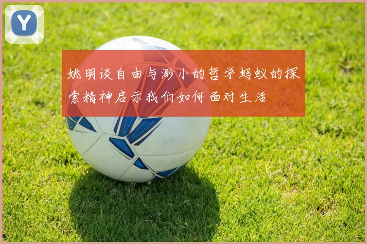 姚明谈自由与渺小的哲学蚂蚁的探索精神启示我们如何面对生活