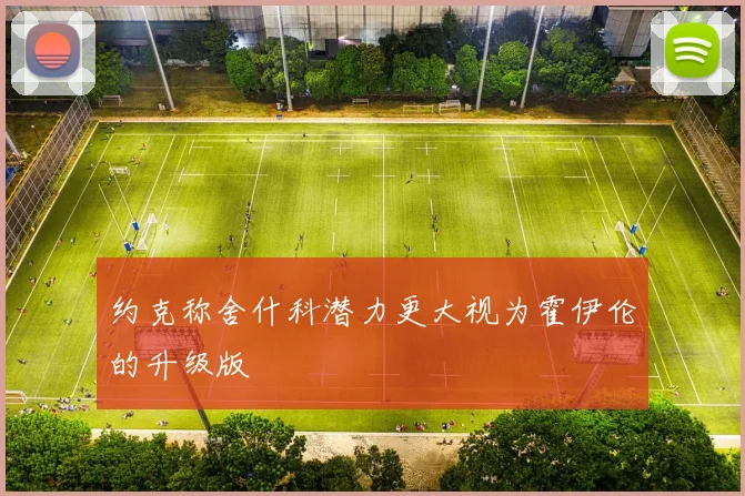 约克称舍什科潜力更大视为霍伊伦的升级版