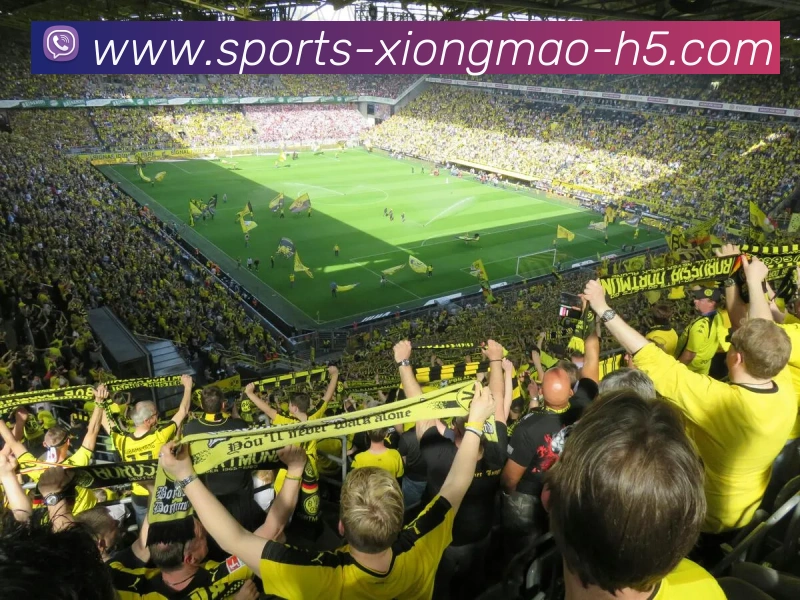 熊猫体育APP 封面图